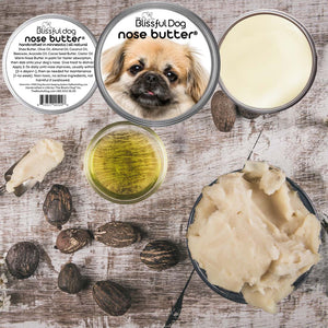 tibetan spaniel dry nose