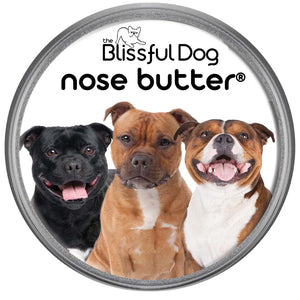 Staffordshire Bull Terrier Nose