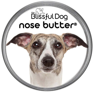 Whippet nose is dry