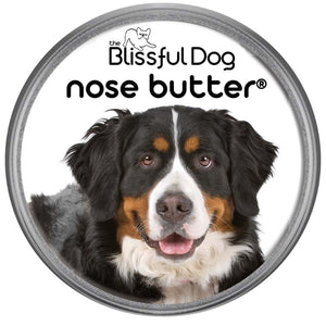 Bernese Mountain Dog