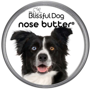 border collie nose butter