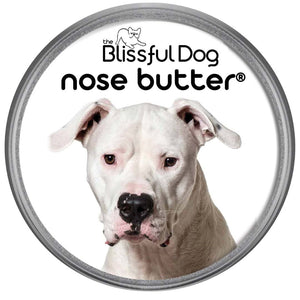 Dogo Argentino Nose Care