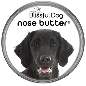 Flat-Coated Retriever has dryNose