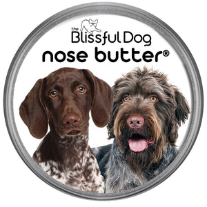 German Shorthaired Pointer Nose is dry