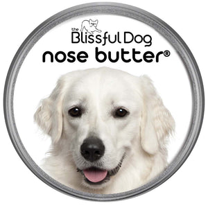 kuvasz nose is dry