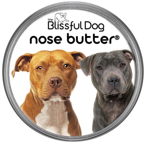 American Staffordshire Terrier Nose Care