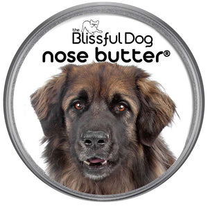 Leonberger Nose is Dry