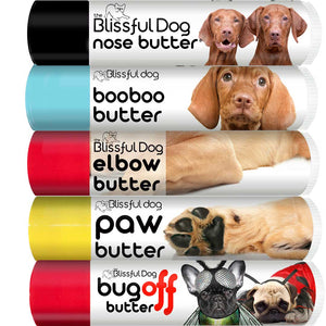 vizsla dog care