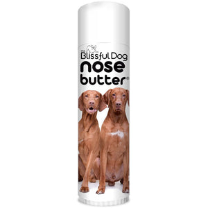 Vizsla Nose is crusty