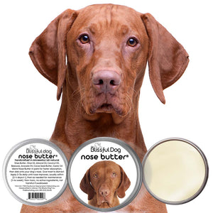 vizsla dog care