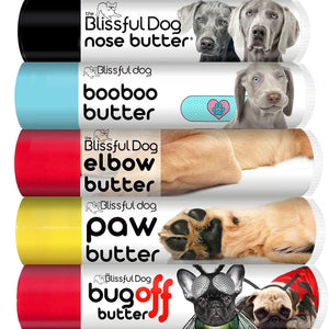 weimaraner grooming