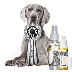 focus dog aromatherapy