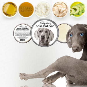 weimaraner chapped nose