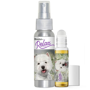 west highland white terrier afraid