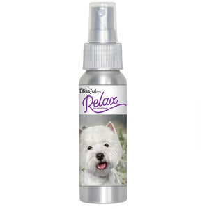west highland white terrier relax dog aromatherapy