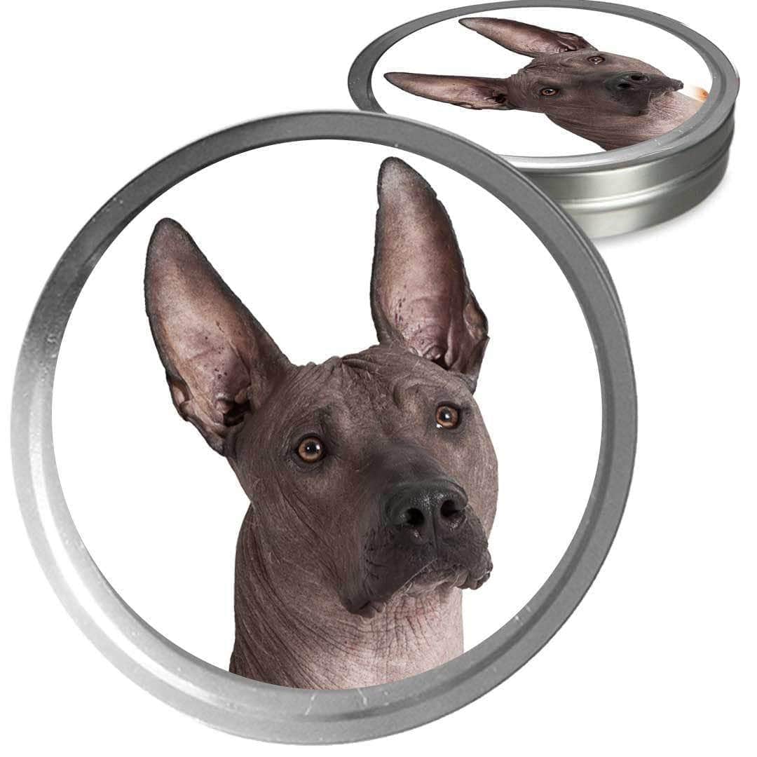 Xoloitzcuintli Dog Custom Combo
