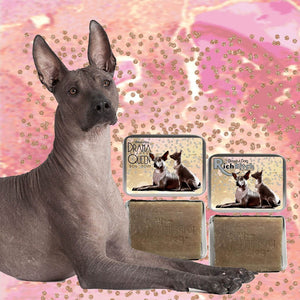 Xoloitzcuintli soap