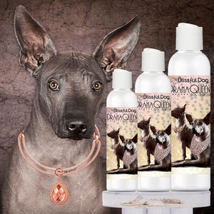 Xoloitzcuintli shampoo