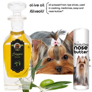 Yorkshire Terrier Nose Moisturizer