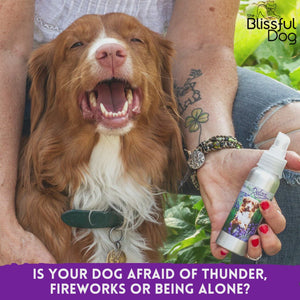 Chow Relax Dog Aromatherapy