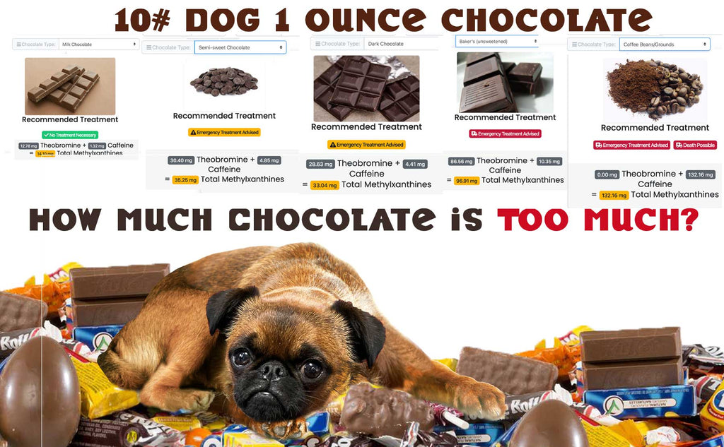 How Much Chocolate Can A Dog Eat: Safety Guide