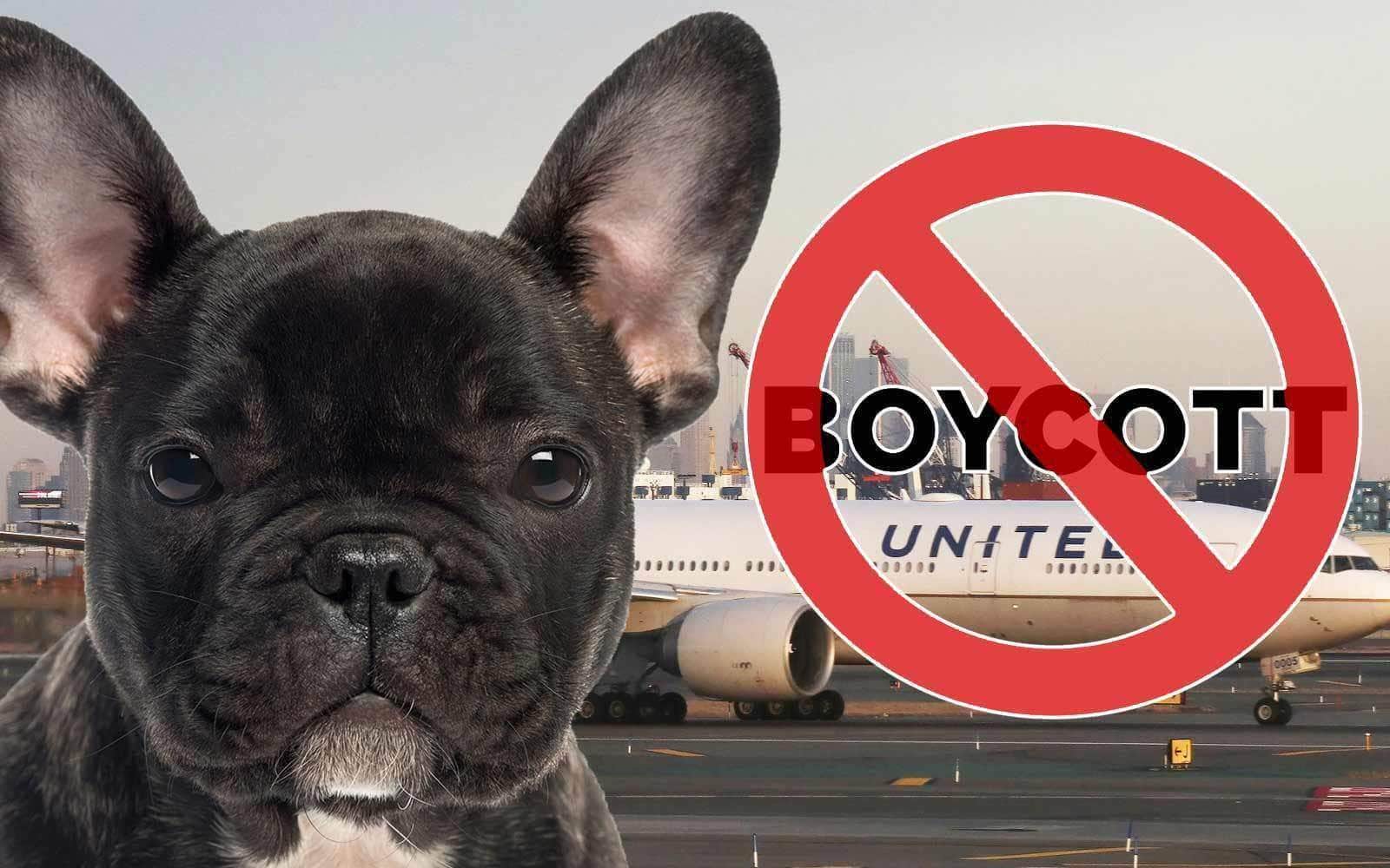 French Bulldog Dies In Overhead Bin on United Airlines