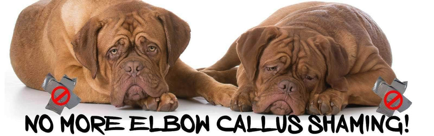 Dog elbow callus pads best sale