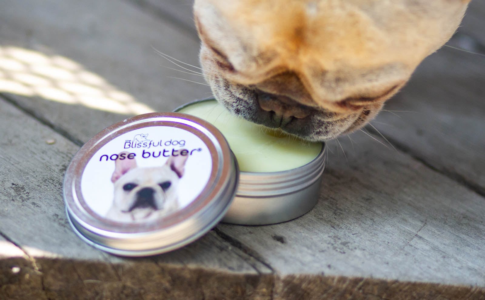 French Bulldog Nose Butter Review