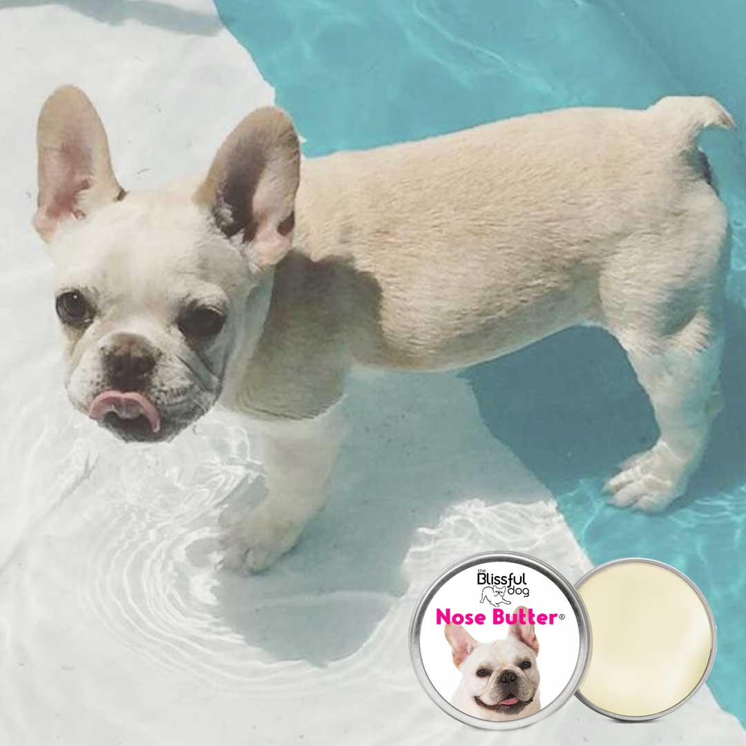 We 💕Frenchie Nose Butter!