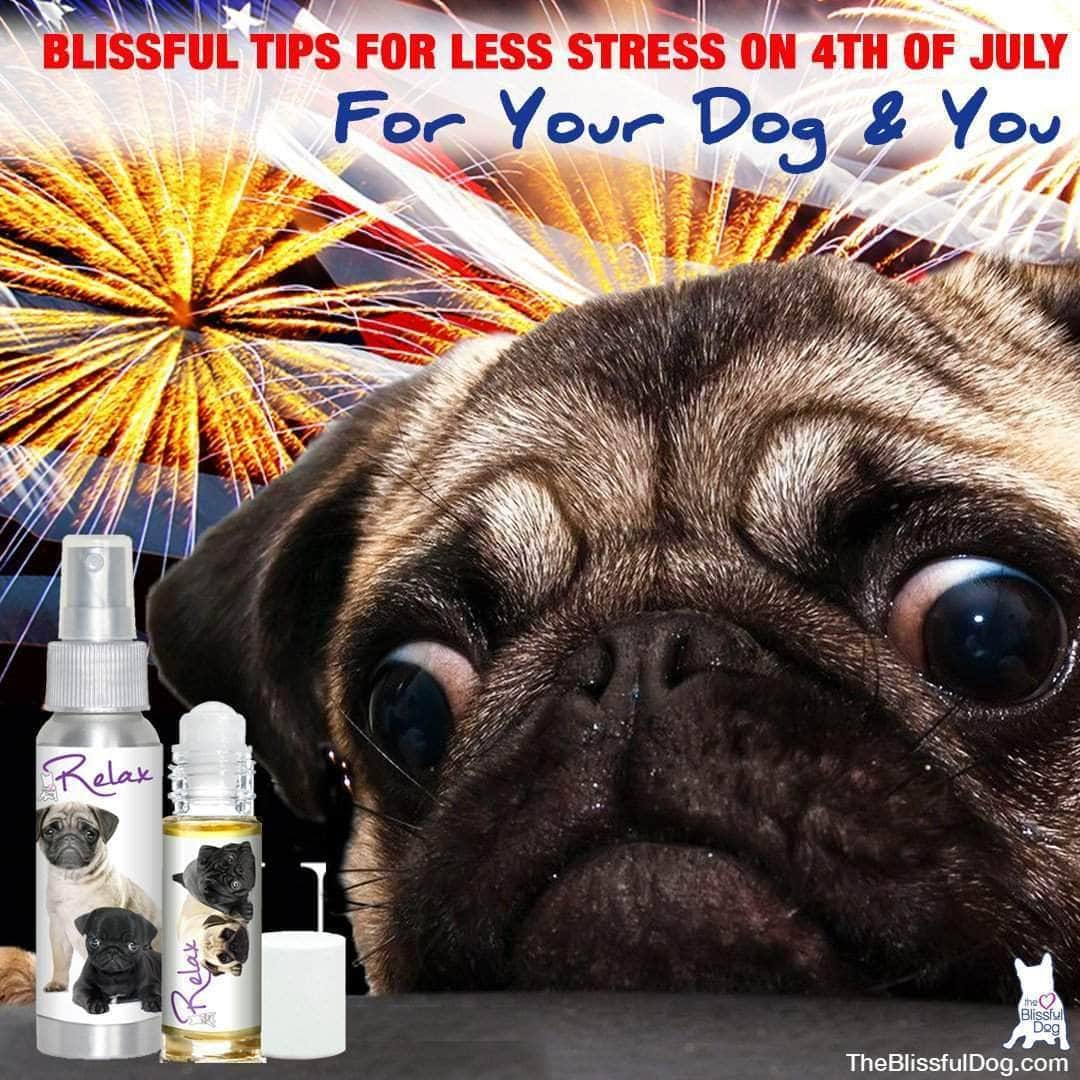 TIPS FOR SURVIVING THE 4TH WITH AN ANXIOUS DOG