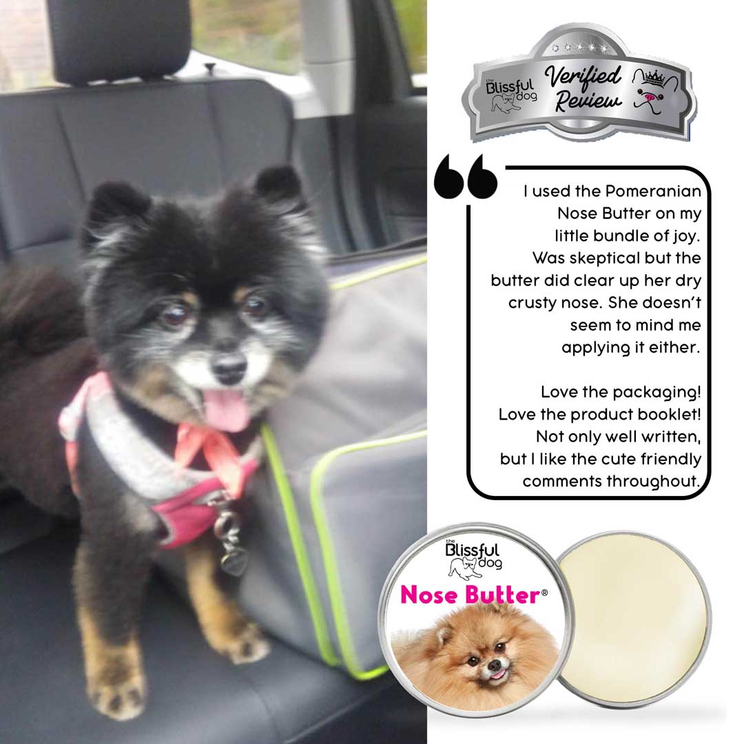 Pomeranian dog review for nose butter