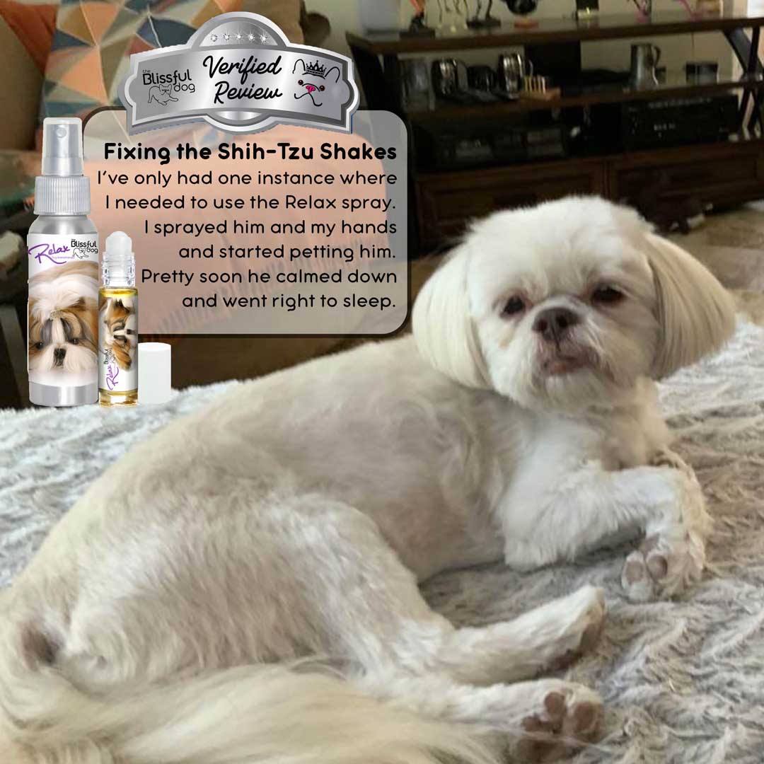 Shih Tzu relax aromatherapy review