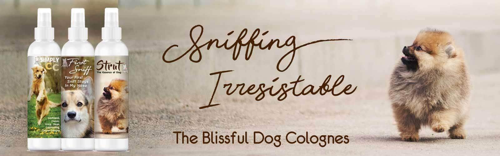 Sniffing Irresistible New Dog Colognes