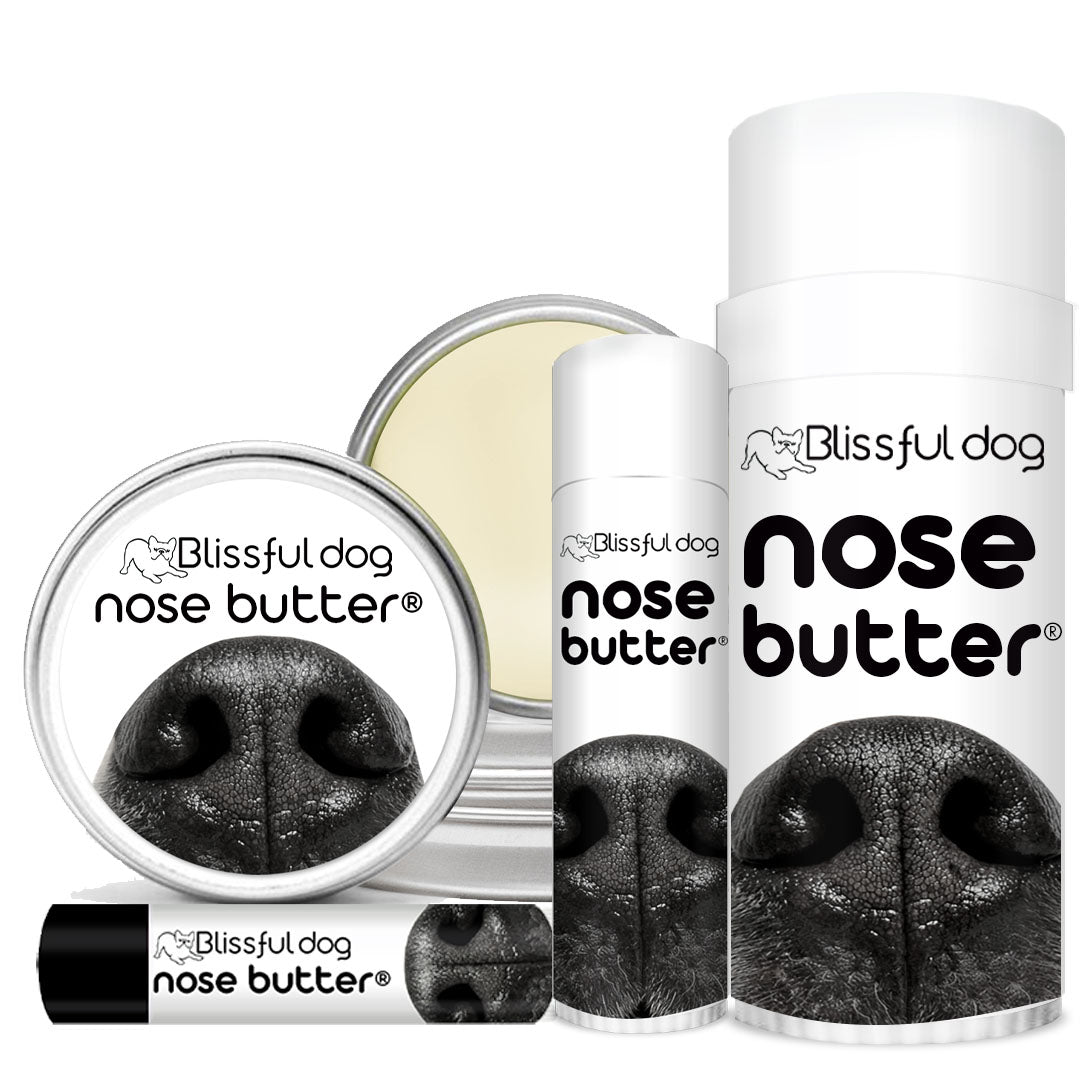 Nose Butter® Soothes Your Dog's Dry Nose