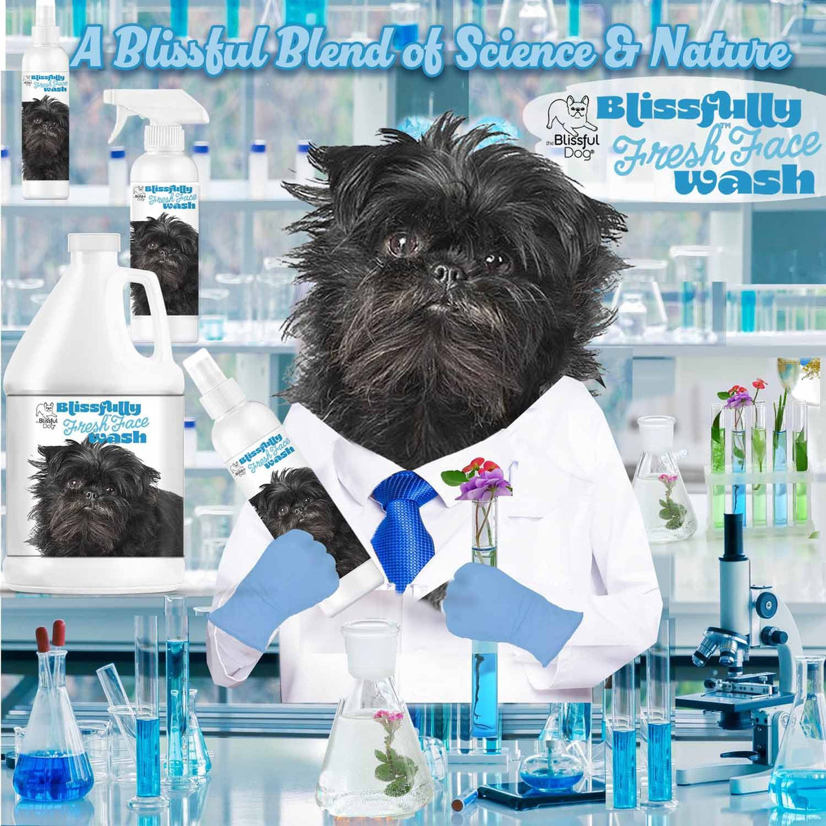 Affenpinscher beard care