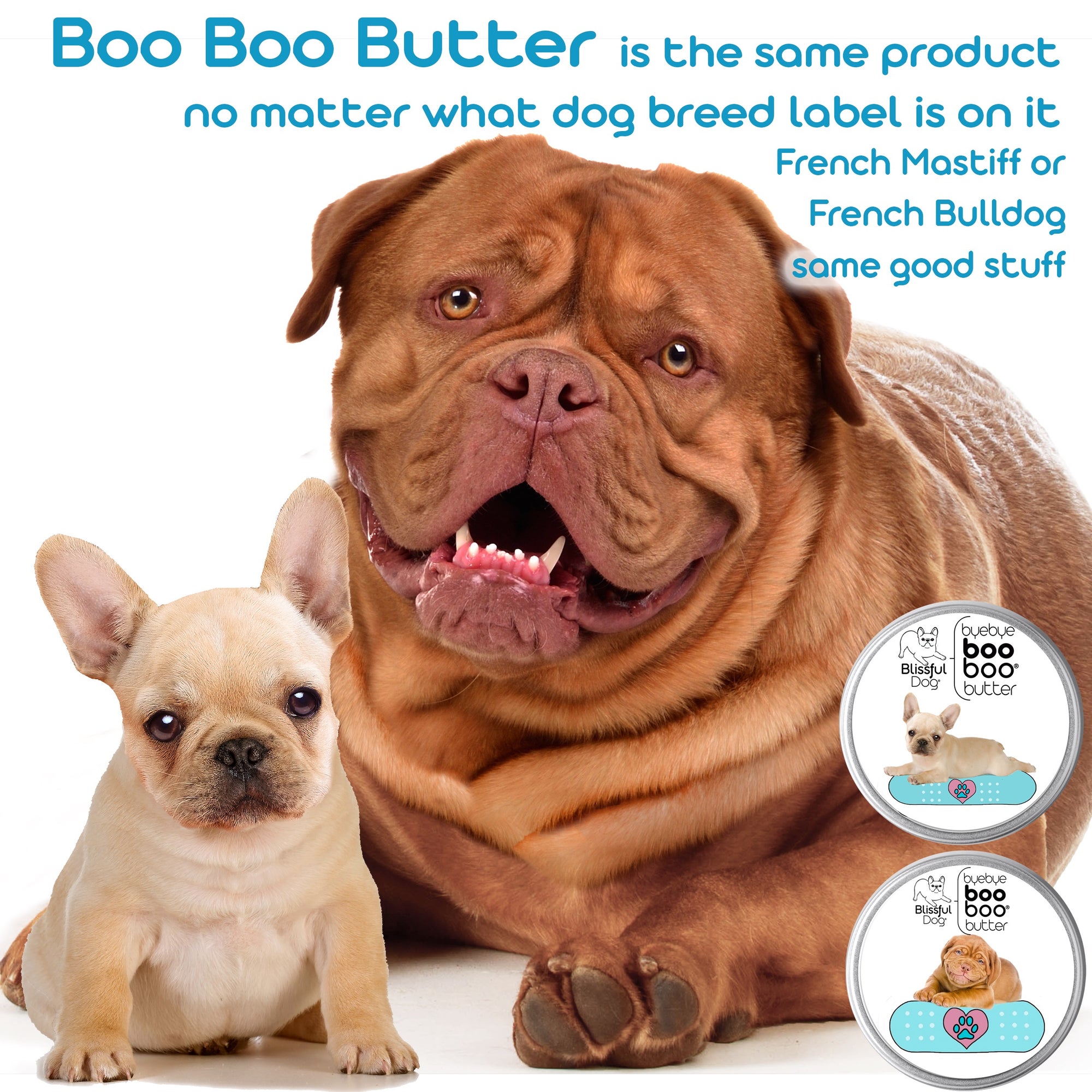 french mastiff and french bulldog