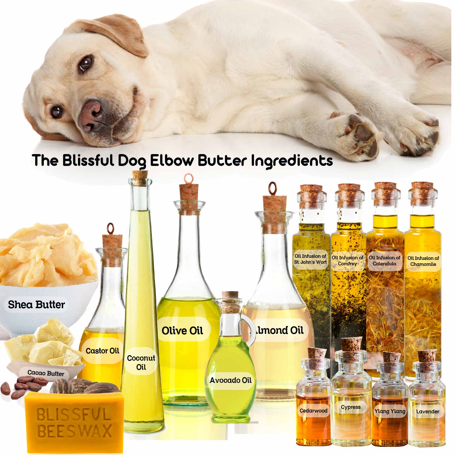 The Blissful Dog Blissful Elbow Butter Balm For Dog Elbow Calluses