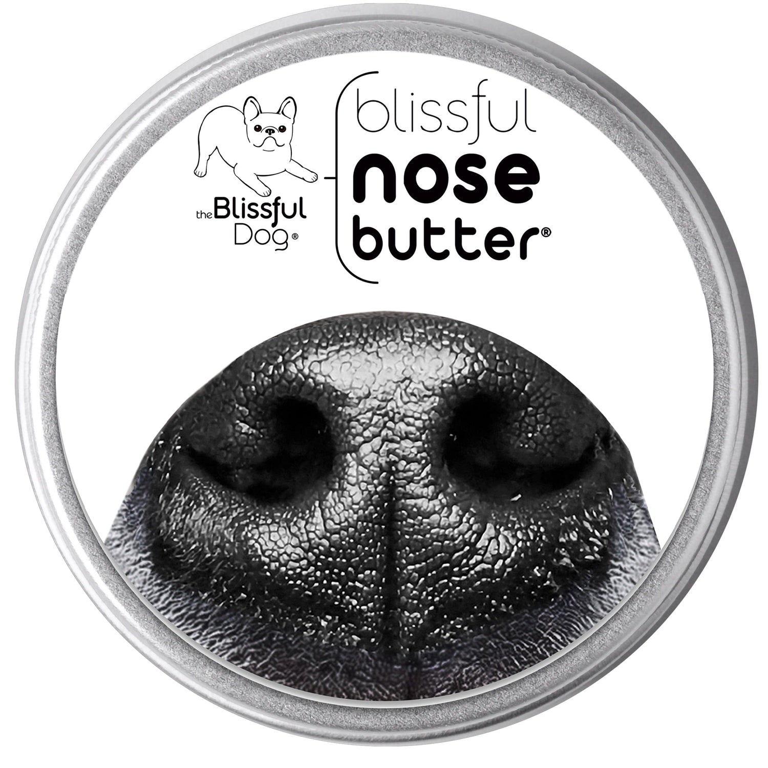 How A Dog s Nose Works Canine Olfactory System The Blissful Dog