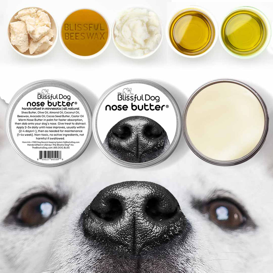 The Blissful Dog Nose Butter for Rough Dry Noses All Natural