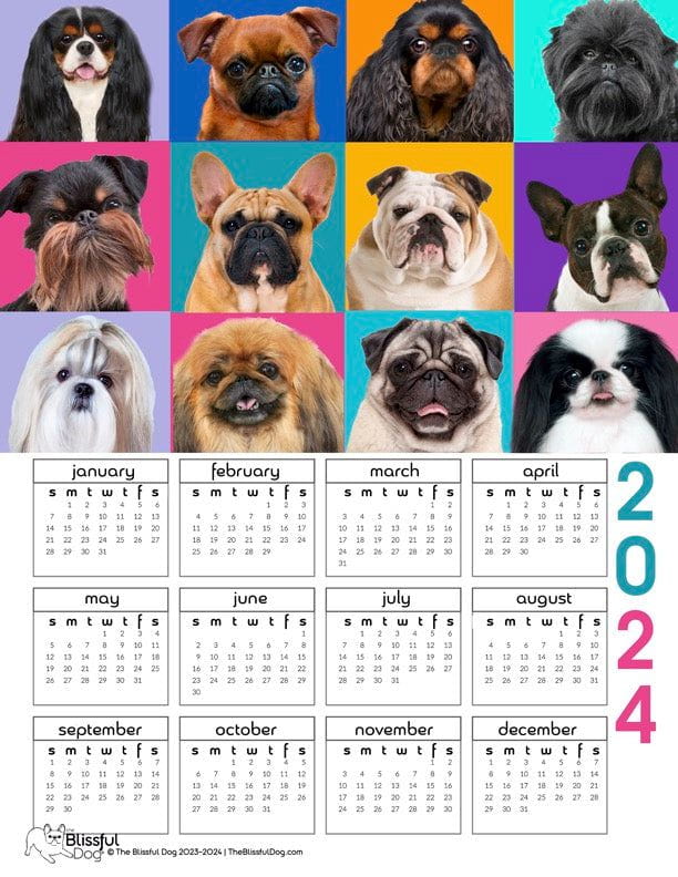 2024 Dog Breed Calendar
