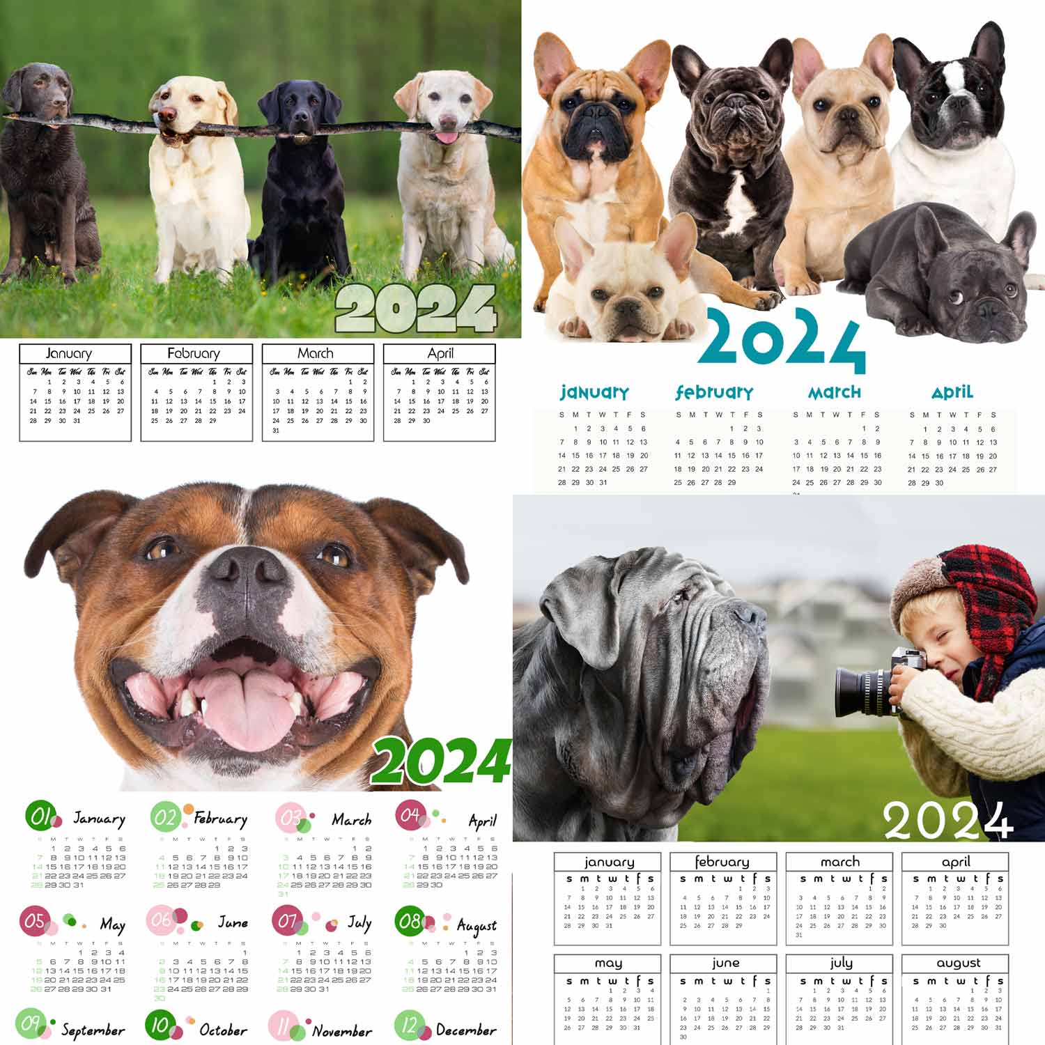 free french bulldog calendar
