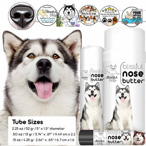 Alaskan Malamute chapped nose