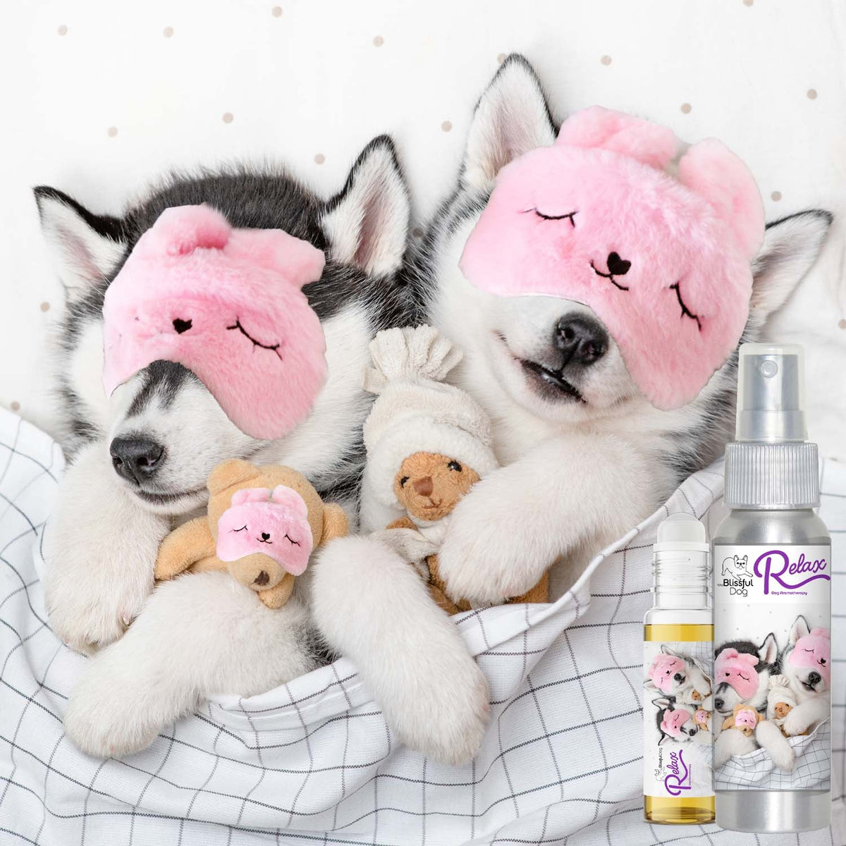 Alaskan Malamute Relax Dog Aromatherapy