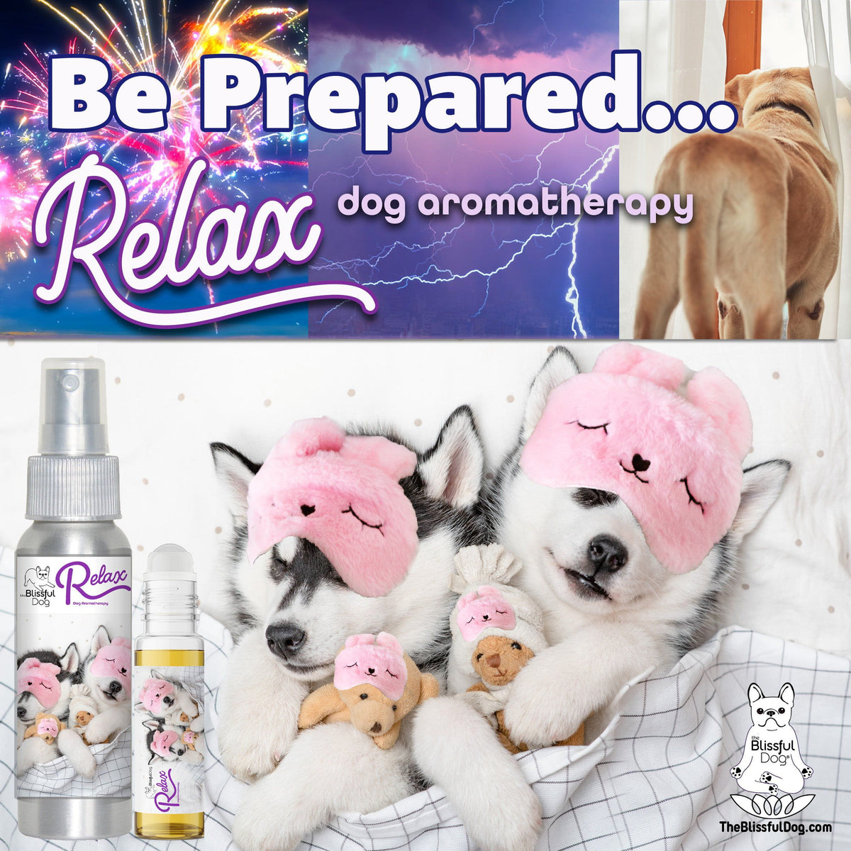 Alaskan Malamute Relax Dog Aromatherapy