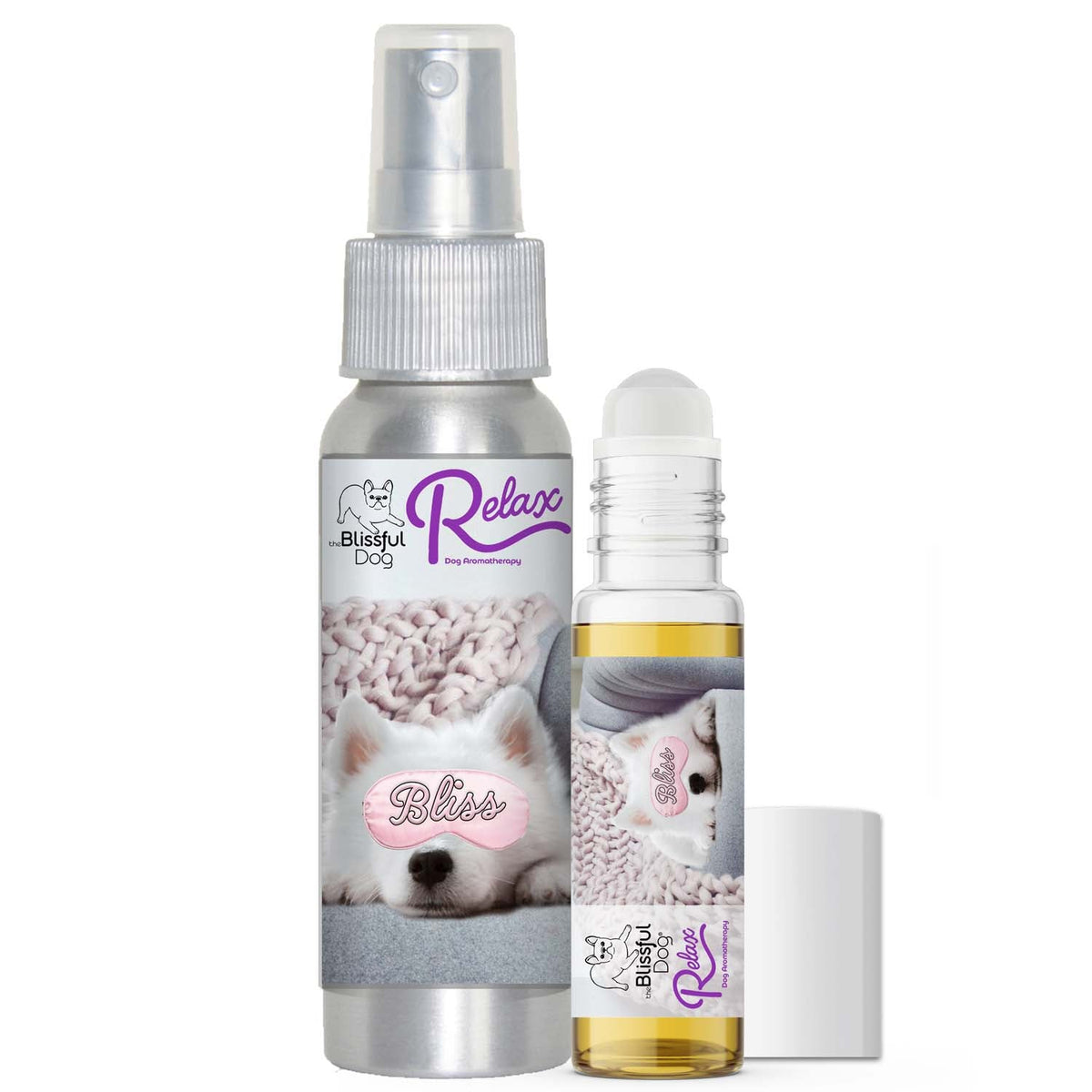 AMERICAN ESKIMO DOG AFRAID OF THUNDER