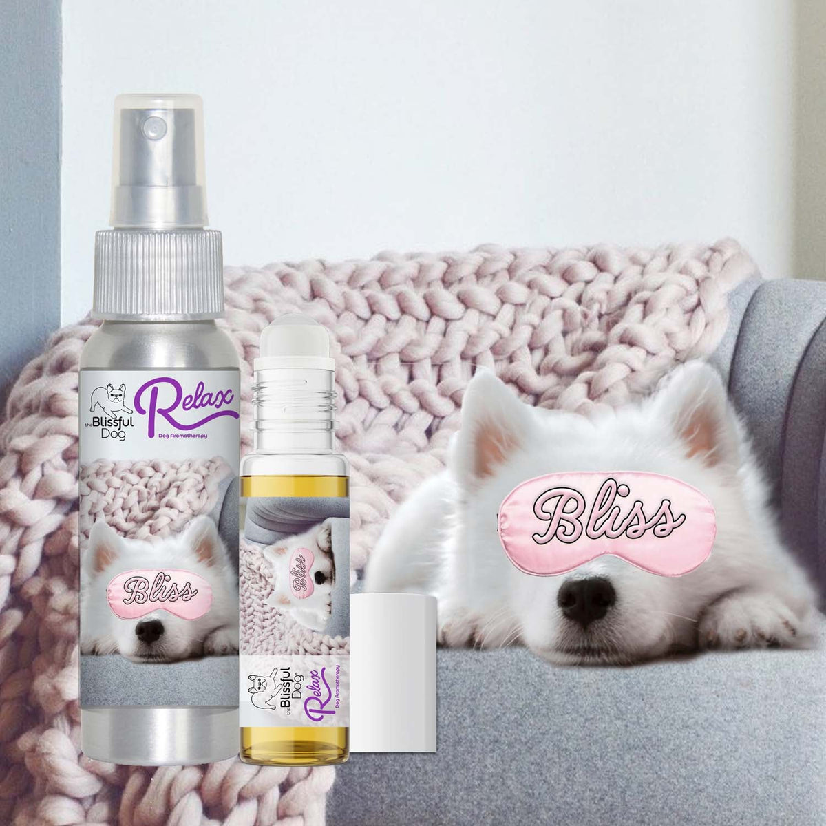 american eskimo dog separation anxiety