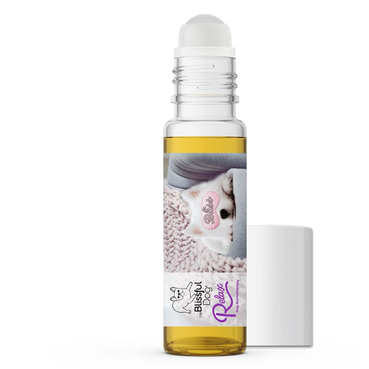 american eskimo dog anxiety