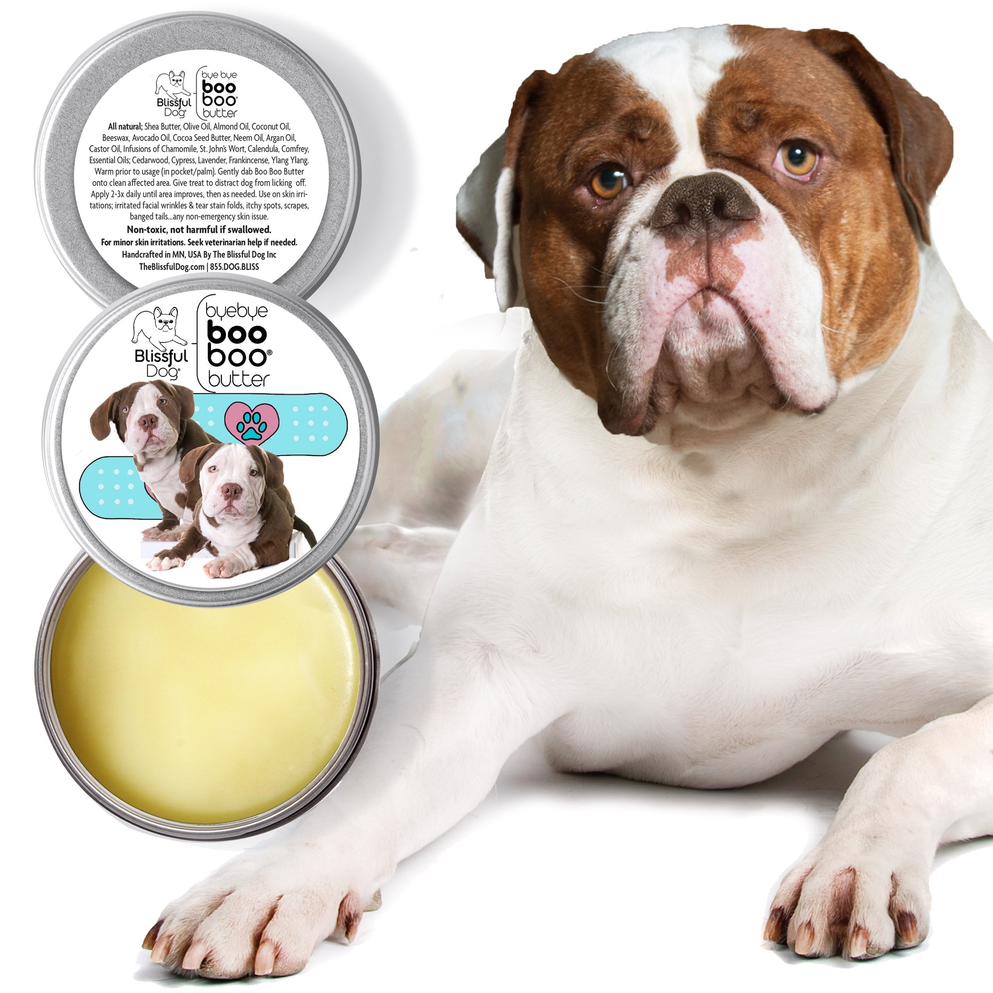 American Bulldog Skin Care