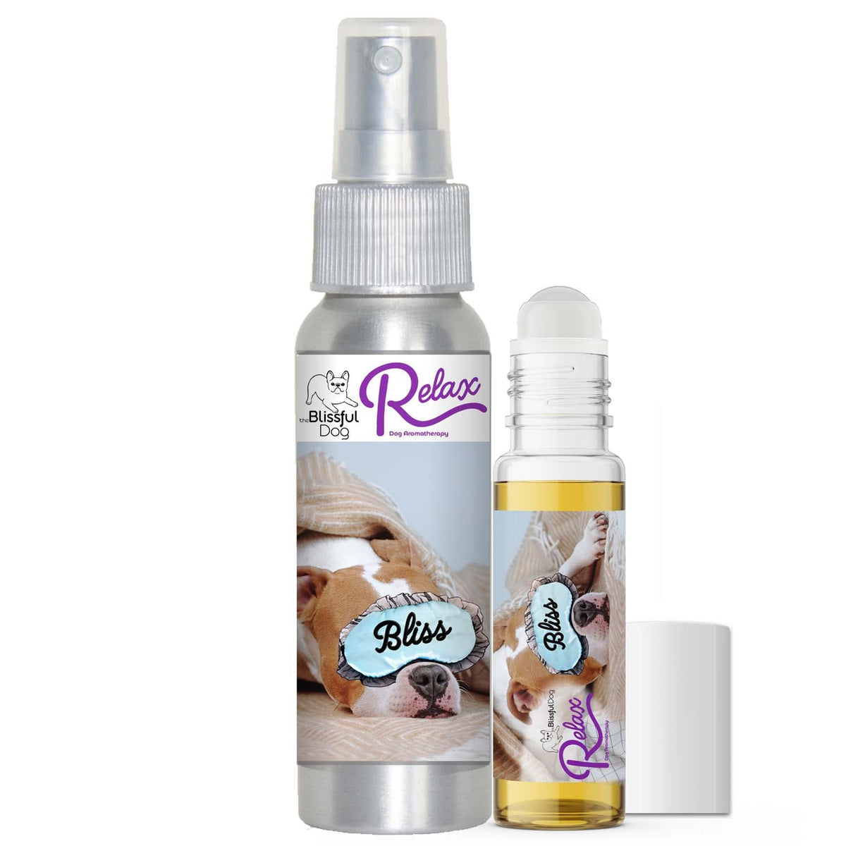 american staffordshire terrier afraid thunder