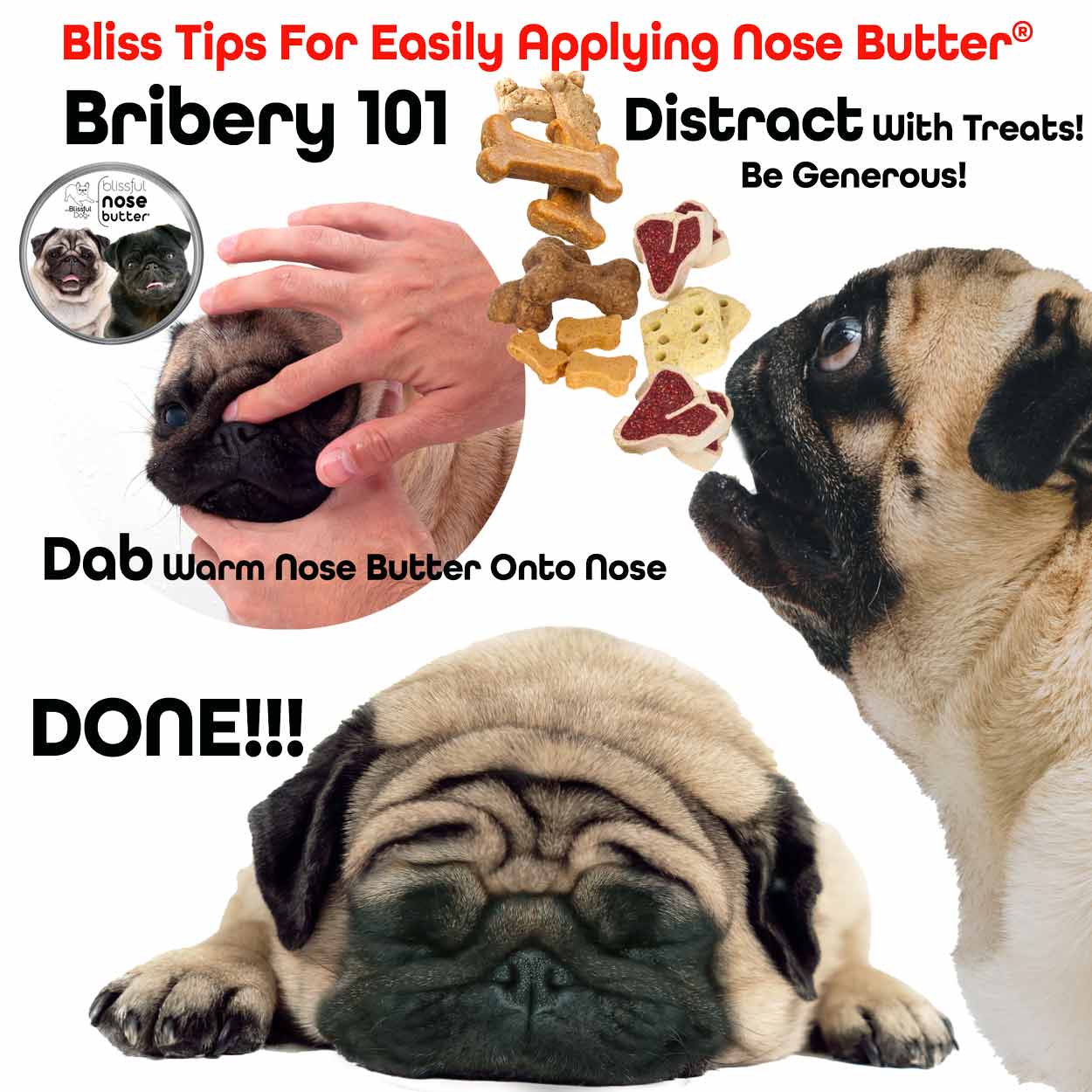 DOG NOSE BUTTER APPLICATION TIPS
